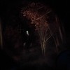 Survival Horror Hit Comes to Xbox One And PlayStation 4 Next Month